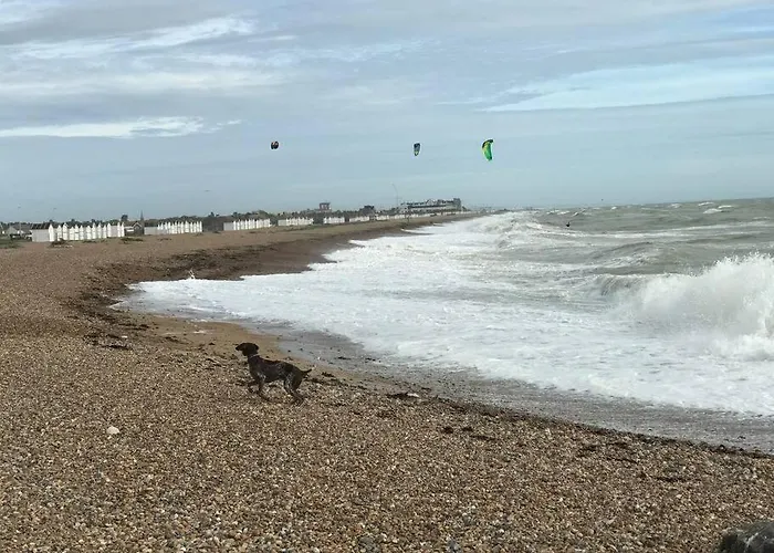 Goring Beach Studio - 2 Min Walk From Seafront